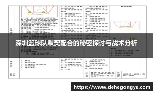 深圳篮球队默契配合的秘密探讨与战术分析